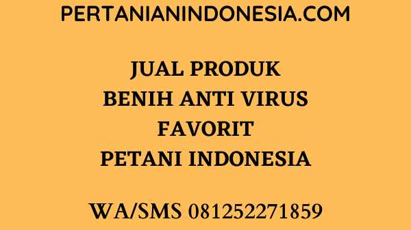 Jual Produk Benih Anti Virus Favorit Petani Indonesia